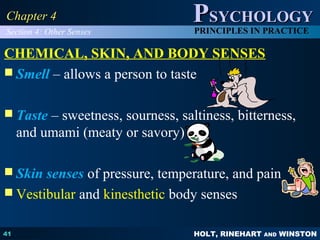 HOLT, RINEHART AND WINSTON
PPSYCHOLOGYSYCHOLOGY
PRINCIPLES IN PRACTICE
41
Chapter 4Chapter 4
CHEMICAL, SKIN, AND BODY SENSES
 Smell – allows a person to taste
 Taste – sweetness, sourness, saltiness, bitterness,
and umami (meaty or savory)
 Skin senses of pressure, temperature, and pain
 Vestibular and kinesthetic body senses
Section 4: Other Senses
 