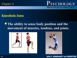 HOLT, RINEHART AND WINSTON
PPSYCHOLOGYSYCHOLOGY
PRINCIPLES IN PRACTICE
Kinesthetic Sense
 The ability to sense body position and the
movement of muscles, tendons, and joints.
45
Chapter 4Chapter 4
 