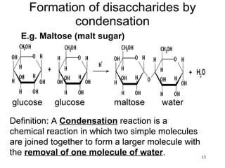 Formation of disaccharides by condensation E.g. Maltose (malt sugar) Definition: A  Condensation  reaction is a chemical reaction in which two simple molecules are joined together to form a larger molecule with the  removal of one molecule of water . glucose  glucose  maltose  water 