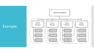 Overview of Project Management Organizational Structures and Team ...