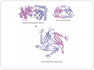 4D STRUCTURE OF PROTEINS | PPT