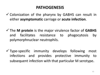 PATHOGENESIS
 Colonization of the pharynx by GABHS can result in
either asymptomatic carriage or acute infection.
 The M protein is the major virulence factor of GABHS
and facilitates resistance to phagocytosis by
polymorphnuclear neutrophils.
 Type-specific immunity develops following most
infections and provides protective immunity to
subsequent infection with that particular M serotype.
43
 
