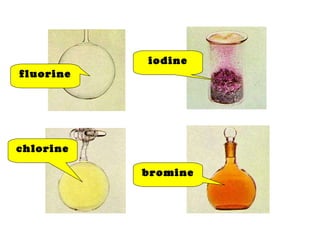 fluorine chlorine iodine bromine 