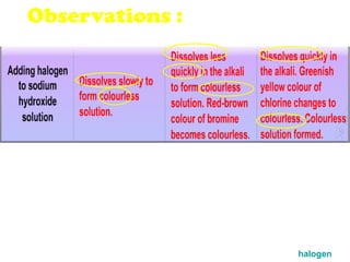 Observations : halogen 