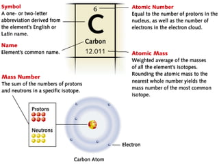 chapter 4 Periodic table of elements.ppt