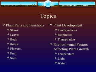 Plant Physiology, and Environmental Effects on Plant Growth | PPT