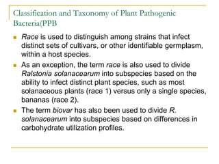 Classification and Taxonomy of Plant Pathogenic
Bacteria(PPB
 Race is used to distinguish among strains that infect
distinct sets of cultivars, or other identifiable germplasm,
within a host species.
 As an exception, the term race is also used to divide
Ralstonia solanacearum into subspecies based on the
ability to infect distinct plant species, such as most
solanaceous plants (race 1) versus only a single species,
bananas (race 2).
 The term biovar has also been used to divide R.
solanacearum into subspecies based on differences in
carbohydrate utilization profiles.
 
