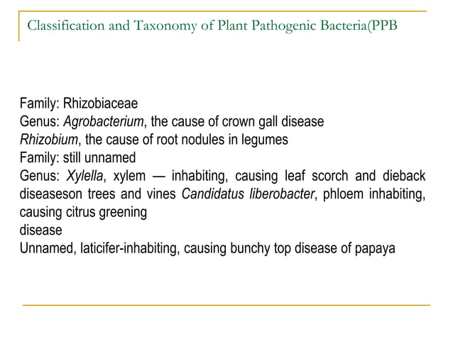 Chapter_ 4 Plant pathogenic Bacteria_taxonomy.ppt