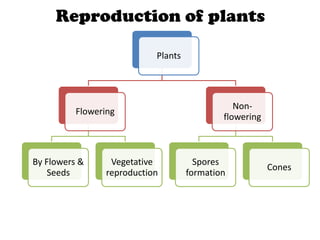 PMR Form 3 Science Chapter 4 Plant Reproduction | PPTX