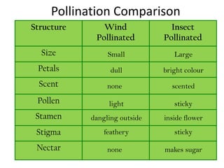 PMR Form 3 Science Chapter 4 Plant Reproduction | PPTX