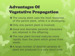 Advantages Of
Vegetative Propagation
 The young plant uses the food resources
  of the parent plant, while it is developing.
 Only one parent plant is involved.
 Good and desirable parental characters
  are retained in the offspring.
 The new plant formed matures more
  rapidly than the plant which grows from
  seeds.
 A large number of desired varieties of
  plant are produced in a very short time.
 