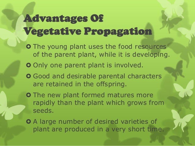 Form 3 PMR Science Chapter 4 Plant Reproduction form-3-pmr-science-chapter-4-plant-reproduction