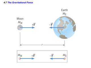 4.7  The Gravitational Force 