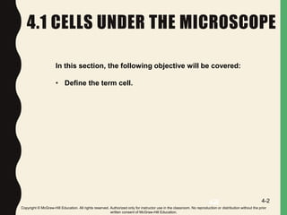 Chapter 4 Inside the Cell | PPTX