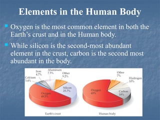 Elements in the Human Body
 Oxygen is the most common element in both the
Earth’s crust and in the Human body.
 While silicon is the second-most abundant
element in the crust, carbon is the second most
abundant in the body.
 