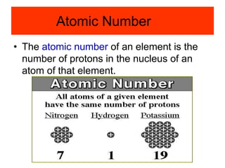Atomic Number
• The atomic number of an element is the
number of protons in the nucleus of an
atom of that element.
 