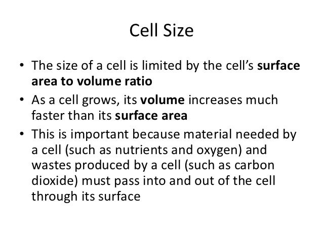 chapter 4 ppt cell size is limited by