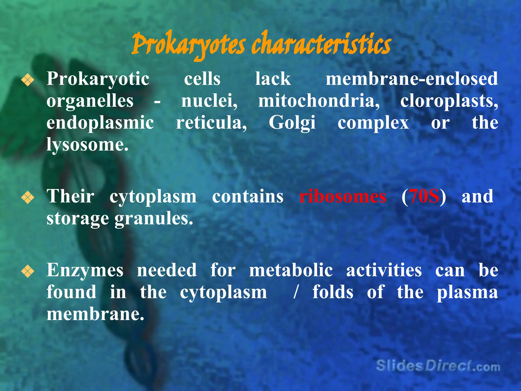 PROKARYOTES | PDF
