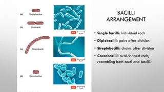 Chapter 4 (Prokaryotic and Eukaryotic Cell).pdf