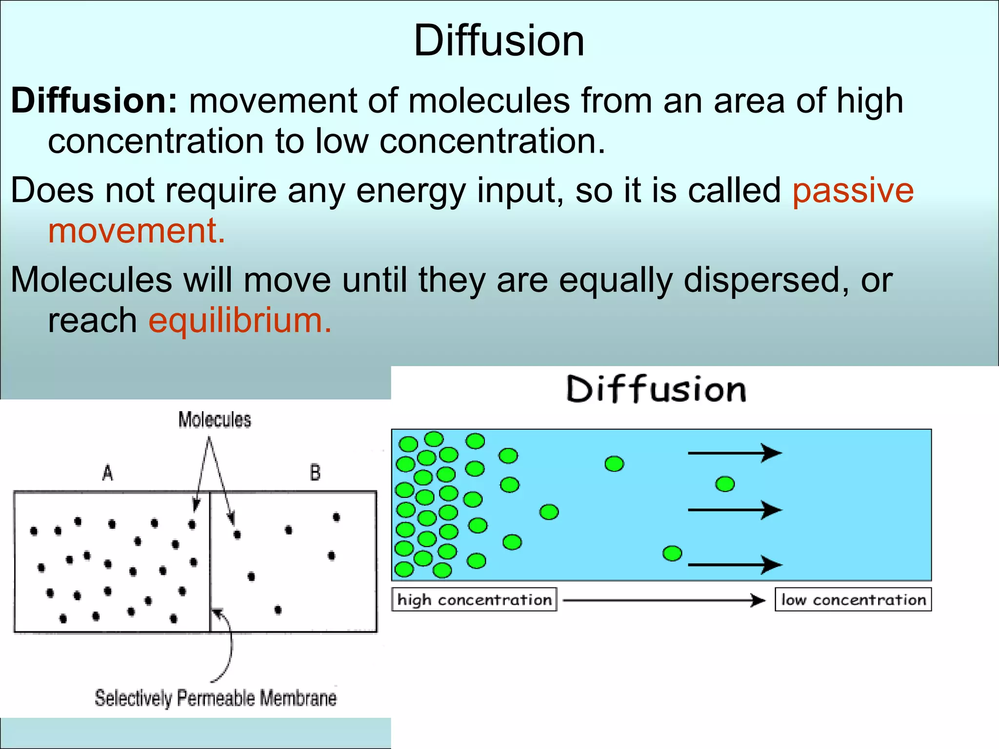 Diffusion Diffusion:  movement of molecules from an area of high concentration to low concentration. Does not require any energy input, so it is called  passive movement. Molecules will move until they are equally dispersed, or reach  equilibrium. 