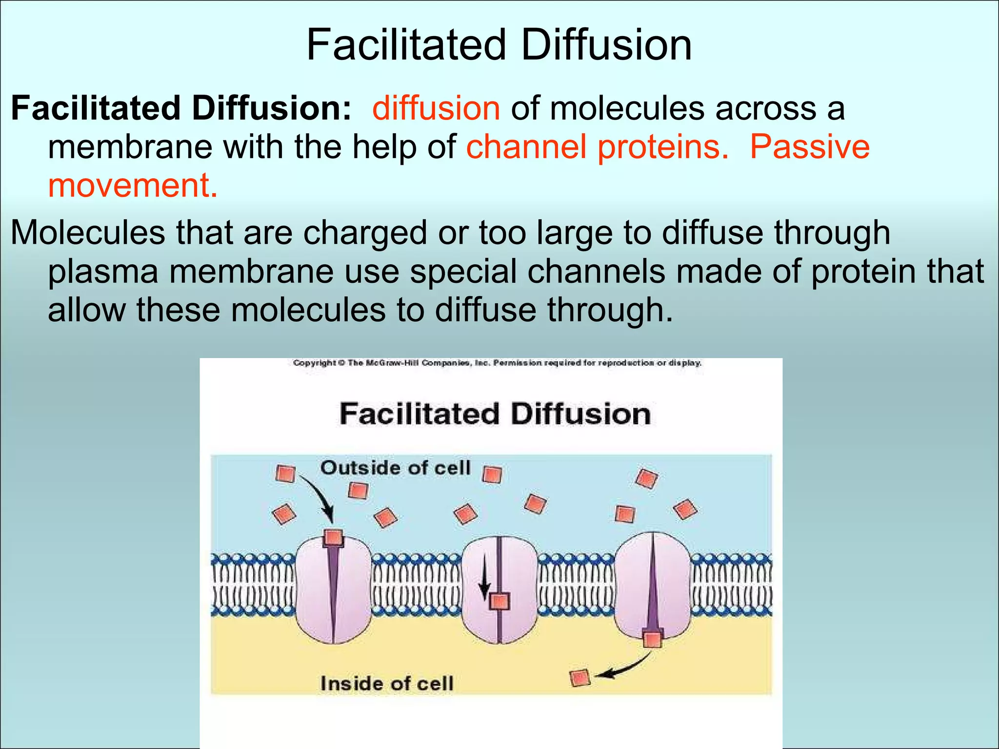 Facilitated Diffusion Facilitated Diffusion:  diffusion  of molecules across a membrane with the help of  channel proteins.  Passive movement. Molecules that are charged or too large to diffuse through plasma membrane use special channels made of protein that allow these molecules to diffuse through. 