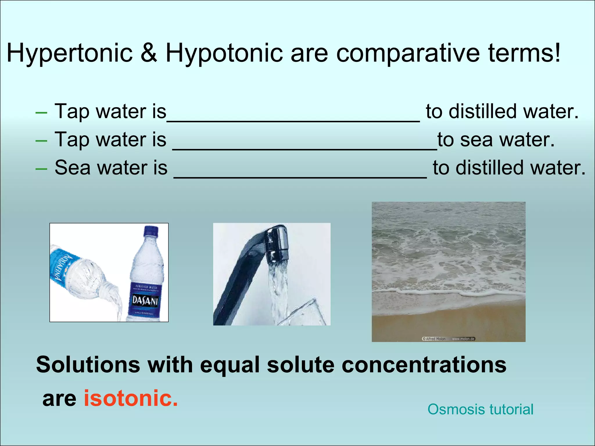 Hypertonic & Hypotonic are comparative terms! Tap water is______________________ to distilled water. Tap water is _______________________to sea water. Sea water is ______________________ to distilled water. Solutions with equal solute concentrations are  isotonic. Osmosis tutorial 