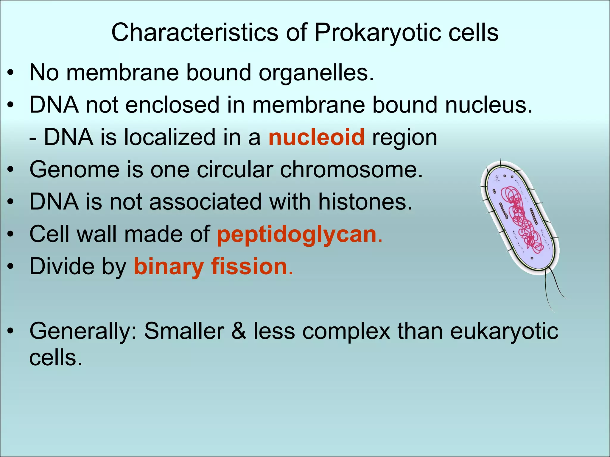 Characteristics of Prokaryotic cells No membrane bound organelles. DNA not enclosed in membrane bound nucleus. - DNA is localized in a  nucleoid  region Genome is one circular chromosome. DNA is not associated with histones. Cell wall made of  peptidoglycan . Divide by  binary fission . Generally: Smaller & less complex than eukaryotic cells. 