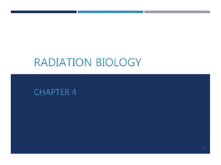 RADIATION BIOLOGY
CHAPTER 4
1
 