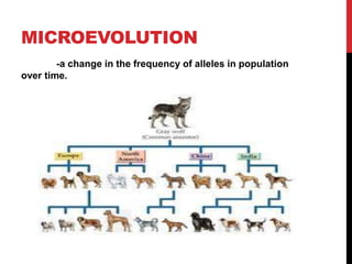 Biological Science Chapter 4 | PPTX