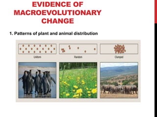 Biological Science Chapter 4 | PPTX