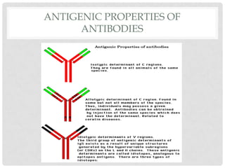 Antibody Structure and Function | PPTX