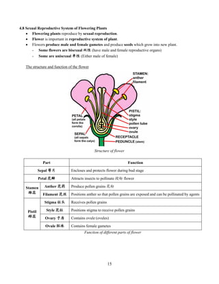 15
4.8 Sexual Reproductive System of Flowering Plants
 Flowering plants reproduce by sexual reproduction.
 Flower is important in reproductive system of plant.
 Flowers produce male and female gametes and produce seeds which grow into new plant.
- Some flowers are bisexual 双性 (have male and female reproductive organs)
- Some are unisexual 单性 (Either male of female)
The structure and function of the flower
Part Function
Sepal 萼片 Encloses and protects flower during bud stage
Petal 花瓣 Attracts insects to pollinate 授粉 flower
Stamen
雄蕊
Anther 花药 Produce pollen grains 花粉
Filament 花丝 Positions anther so that pollen grains are exposed and can be pollinated by agents
Pistil
雌蕊
Stigma 柱头 Receives pollen grains
Style 花柱 Positions stigma to receive pollen grains
Ovary 子房 Contains ovule (ovules)
Ovule 胚珠 Contains female gametes
Function of different parts of flower
Structure of flower
 