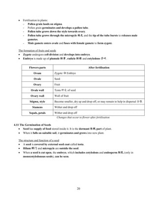20
 Fertilisation in plants:
- Pollen grain lands on stigma.
- Pollen grain germinates and develops a pollen tube.
- Pollen tube grows down the style towards ovary.
- Pollen tube grows through the micropyle 珠孔 and the tip of the tube bursts to releases male
gametes.
- Male gamete enters ovule and fuses with female gamete to form zygote.
The formation of fruits and seeds
 Zygote undergoes cell division and develops into embryo.
 Embryo is made up of plumule 胚芽, radicle 胚根 and cotyledons 子叶.
Flowers parts After fertilisation
Ovum Zygote  Embryo
Ovule Seed
Ovary Fruit
Ovule wall Testa 种皮 of seed
Ovary wall Wall of fruit
Stigma, style Become smaller, dry up and drop off, or may remain to help in dispersal 分散
Stamens Wither and drop off
Sepals, petals Wither and drop off
Changes that occur to flower after fertilisation
4.11 The Germination of Seeds
 Seed has supply of food stored inside it. It is the dormant 休眠 part of plant.
 When it falls on suitable soil, it germinates and grows into new plant.
The structure and function of a seed
 A seed is covered by external seed coat called testa.
 Hilum 肺门 and micropyle are outside the seed.
 When a seed is cut open, the embryo, which includes cotyledons and endosperm 胚乳 (only in
monocotyledonous seeds), can be seen.
 