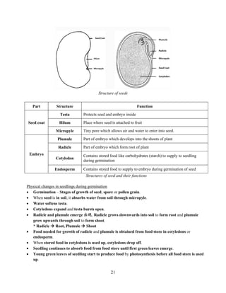 21
Part Structure Function
Seed coat
Testa Protects seed and embryo inside
Hilum Place where seed is attached to fruit
Micropyle Tiny pore which allows air and water to enter into seed.
Embryo
Plumule Part of embryo which develops into the shoots of plant
Radicle Part of embryo which form root of plant
Cotyledon
Contains stored food like carbohydrates (starch) to supply to seedling
during germination
Endosperm Contains stored food to supply to embryo during germination of seed
Structures of seed and their functions
Physical changes in seedlings during germination
 Germination – Stages of growth of seed, spore or pollen grain.
 When seed is in soil, it absorbs water from soil through micropyle.
 Water softens testa.
 Cotyledons expand and testa bursts open.
 Radicle and plumule emerge 出现. Radicle grows downwards into soil to form root and plumule
grow upwards through soil to form shoot.
* Radicle  Root, Plumule  Shoot
 Food needed for growth of radicle and plumule is obtained from food store in cotyledons or
endosperm.
 When stored food in cotyledons is used up, cotyledons drop off.
 Seedling continues to absorb food from food store until first green leaves emerge.
 Young green leaves of seedling start to produce food by photosynthesis before all food store is used
up.
Structure of seeds
 