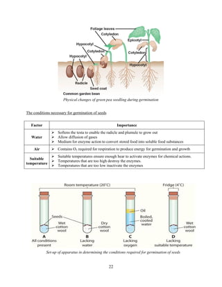 22
The conditions necessary for germination of seeds
Factor Importance
Water
 Softens the testa to enable the radicle and plumule to grow out
 Allow diffusion of gases
 Medium for enzyme action to convert stored food into soluble food substances
Air  Contains O2 required for respiration to produce energy for germination and growth
Suitable
temperature
 Suitable temperatures ensure enough hear to activate enzymes for chemical actions.
 Temperatures that are too high destroy the enzymes.
 Temperatures that are too low inactivate the enzymes
Physical changes of green pea seedling during germination
Set-up of apparatus in determining the conditions required for germination of seeds
 