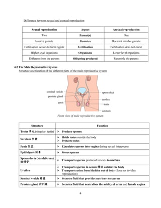 4
Difference between sexual and asexual reproduction
Sexual reproduction Aspect Asexual reproduction
Two Parent(s) One
Involve gamete Gametes Does not involve gamete
Fertilisation occurs to form zygote Fertilisation Fertilisation does not occur
Higher level organisms Organisms Lower level organisms
Different from the parents Offspring produced Resemble the parents
4.2 The Male Reproductive System
Structure and function of the different parts of the male reproductive system
Structure Function
Testes 睾丸 (singular: testis)  Produce sperms
Scrotum 阴囊
 Holds testes outside the body
 Protects testes
Penis 阴茎  Ejaculates sperms into vagina during sexual intercourse
Epididymis 附睾  Stores sperms
Sperm ducts (vas deferens)
输精管
 Transports sperms produced in testis to urethra
Urethra
 Transports sperms in semen 精液 outside the body
 Transports urine from bladder out of body (does not involve
reproduction)
Seminal vesicle 精囊  Secretes fluid that provides nutrients to sperms
Prostate gland 前列腺  Secretes fluid that neutralises the acidity of urine and female vagina
Front view of male reproductive system
 