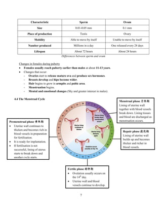 7
Characteristic Sperm Ovum
Size 0.01-0.05 mm 0.1 mm
Place of production Testis Ovary
Mobility Able to move by itself Unable to move by itself
Number produced Millions in a day One released every 28 days
Lifespan About 72 hours About 24 hours
Differences between sperm and ovum
Changes in females during puberty
 Females usually reach puberty earlier than males at about 11-13 years.
 Changes that occur:
- Ovaries start to release mature ova and produce sex hormones.
- Breasts develop and hips become wider.
- Hair begins to grow in armpits and pubic area.
- Menstruation begins.
- Mental and emotional changes (Shy and greater interest in males).
4.4 The Menstrual Cycle
Menstrual phase 月经期
Lining of uterine wall
together with blood vessels
break down. Lining tissues
and blood are discharged as
menstruation occurs.
Repair phase 滤泡期
Lining of uterine wall
builds up and becomes
thicker and richer in
blood vessels.
Premenstrual phase 黄体期
 Uterine wall continues to
thicken and becomes rich in
blood vessels in preparation
for fertilisation.
 It is ready for implantation.
 If fertilisation is not
successful, lining of uterus
starts to break down and
another cycle starts.
Fertile phase 排卵期
 Ovulation usually occurs on
the 14th
day.
 Uterine wall and blood
vessels continue to develop.
 