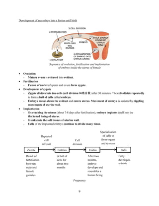 9
Development of an embryo into a foetus until birth
 Ovulation
- Mature ovum is released into oviduct.
 Fertilisation
- Fusion of nuclei of sperm and ovum form zygote.
 Development of zygote
- Zygote divides into two cells (cell division 细胞分裂) after 30 minutes. The cells divide repeatedly
to form a ball of cells called embryo.
- Embryo moves down the oviduct and enters uterus. Movement of embryo is assisted by rippling
movements of uterine wall.
 Implantation
- On reaching the uterus (about 7-8 days after fertilisation), embryo implants itself into the
thickened lining of uterus.
- It sinks into the soft tissues of uterine wall.
- Cells of the implanted embryo continue to divide many times.
Sequence of ovulation, fertilisation and implantation
of embryo inside the uterus of female
Zygote Embryo Foetus Baby
Repeated
cell
division
Cell
division
Specialisation
of cells to
form organs
and systems
Result of
fertilisation
between
male and
female
gametes
A ball of
cells for
about two
months
After two
months,
embryo
develops and
resembles a
human being
Fully
developed
at birth
Pregnancy
 