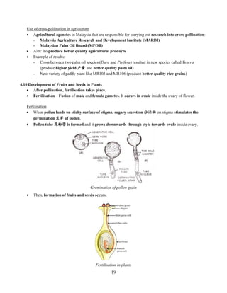 Chapter 4 Reproduction