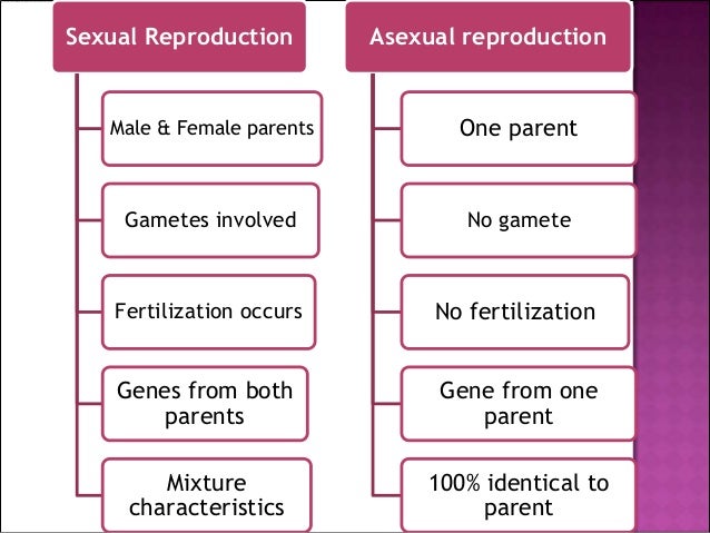 form 3 science chapter 4 reproduction 2 what is a form of asexual reproduction
