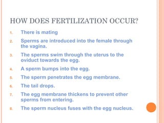 HOW DOES FERTILIZATION OCCUR?
1.   There is mating
2.   Sperms are introduced into the female through
     the vagina.
3.   The sperms swim through the uterus to the
     oviduct towards the egg.
4.   A sperm bumps into the egg.
5.   The sperm penetrates the egg membrane.
6.   The tail drops.
7.   The egg membrane thickens to prevent other
     sperms from entering.
8.   The sperm nucleus fuses with the egg nucleus.
 