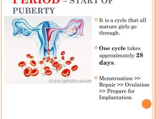 PERIOD – START OF
PUBERTY
                It is a cycle that all
                 mature girls go
                 through.

                One cycle takes
                 approximately 28
                 days.

                Menstruation >>
                 Repair >> Ovulation
                 >> Prepare for
                 Implantation.
 