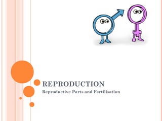 REPRODUCTION
Reproductive Parts and Fertilisation
 