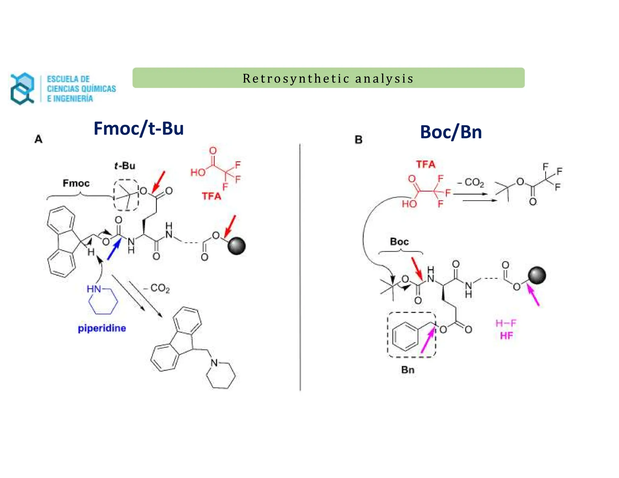 Re t ro synt he t i c a n a ly s is
Re t ro synt he t i c a n a ly s is
Fmoc/t-Bu Boc/Bn
 