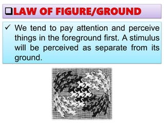  We tend to pay attention and perceive
things in the foreground first. A stimulus
will be perceived as separate from its
ground.
 