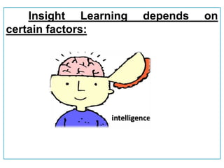 Insight Learning depends on
certain factors:
 