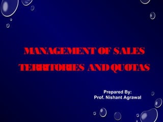 Chapter 4 Management of Sales Territories and Quotas | PPT