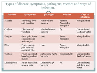 Types of disease, symptoms, pathogens, vectors and ways of
infection.
Disease symptoms pathogen vectors Ways of
infection
Malaria Shivering, fever
and sweating
Plasmodium
malarie
Female
Anopheles
mosquito
Mosquito bite
Cholera Diarrhea and
vomiting
Vibrio cholerae
bacteria
fly Contaminated
food and water
Dengue Joint pain, fever.
Headache and
watery eyes
virus Aedes
Mosquito
Mosquito bite
Zika Fever, rashes,
join pain and
conjunctivitis
virus Aedes
Mosquito
Mosquito bite
Typhoid Fever, intestinal
bleeding and red
rashes
Salmonella typhi
bacteria
cockroach, fly Contaminated
food and water
Leptospirosis Fever, headache,
muscle pain
Leptospira sp.
bacteria
rat Contaminated
soil, food and
water
 