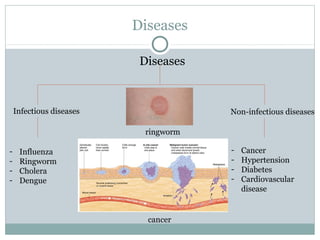 Diseases
Diseases
Infectious diseases Non-infectious diseases
- Influenza
- Ringworm
- Cholera
- Dengue
- Cancer
- Hypertension
- Diabetes
- Cardiovascular
disease
ringworm
cancer
 
