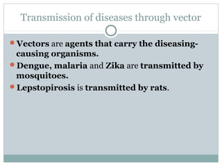 Transmission of diseases through vector
Vectors are agents that carry the diseasing-
causing organisms.
Dengue, malaria and Zika are transmitted by
mosquitoes.
Lepstopirosis is transmitted by rats.
 